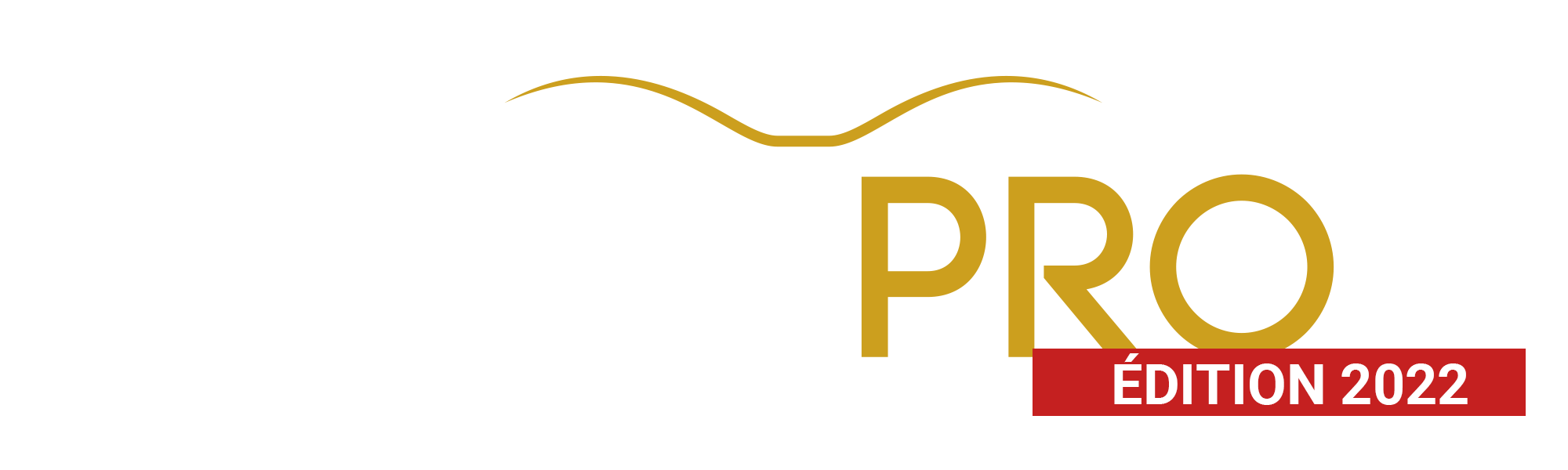 Logo de PokerPRO 2